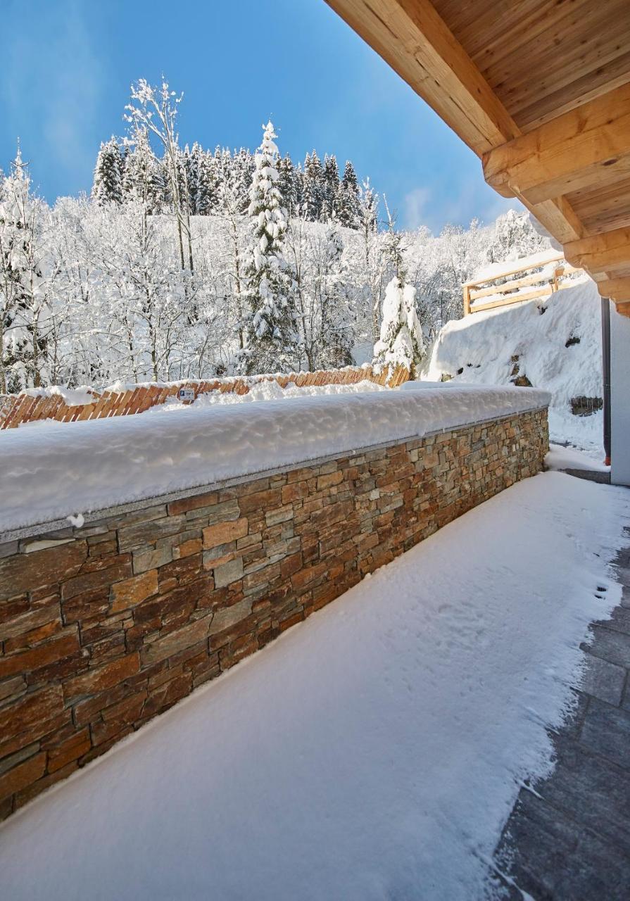 Appartements Goodlife By Holidayflats24 ザールバッハ・ヒンターグレム エクステリア 写真